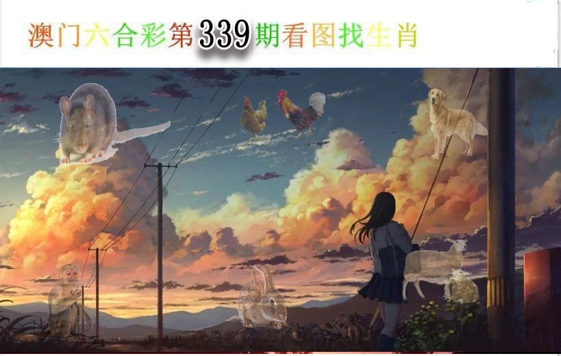 2024339期看图找生肖