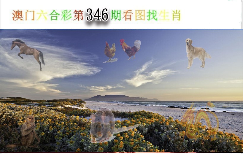 2024346期看图找生肖