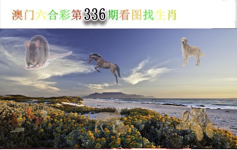 2024336期看图找生肖