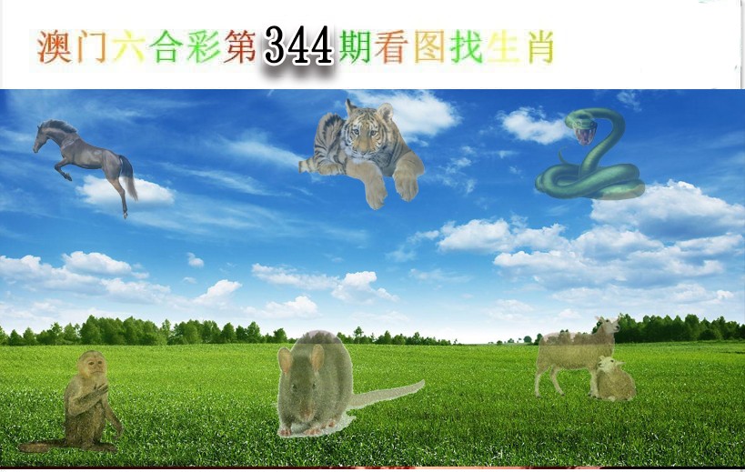2024344期看图找生肖
