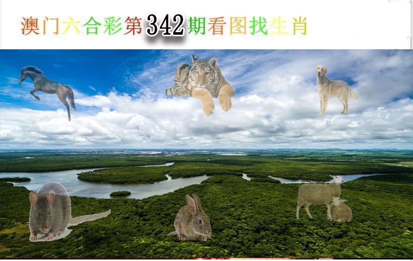 2024342期看图找生肖