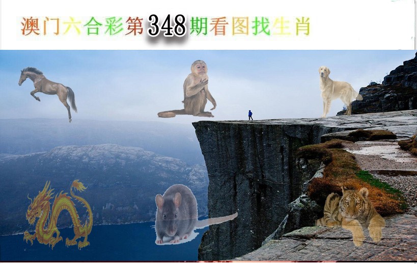 2024348期看图找生肖
