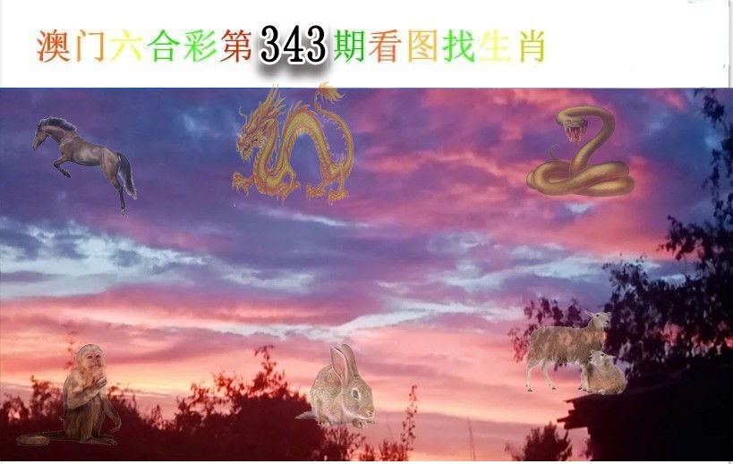 2024343期看图找生肖