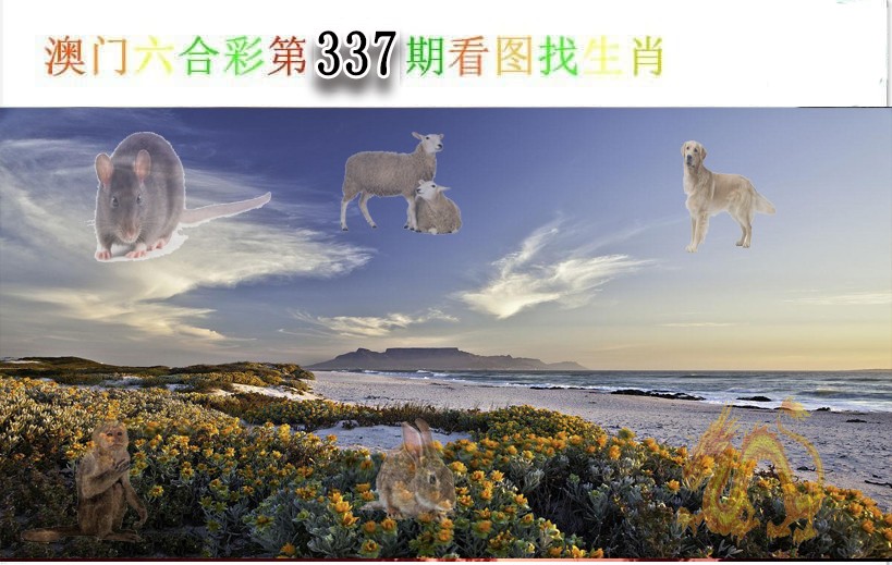2024337期看图找生肖