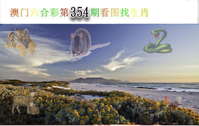 2024354期看图找生肖