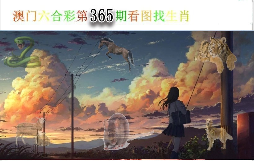 2024365期看图找生肖