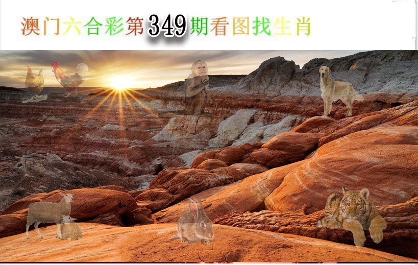 2024349期看图找生肖