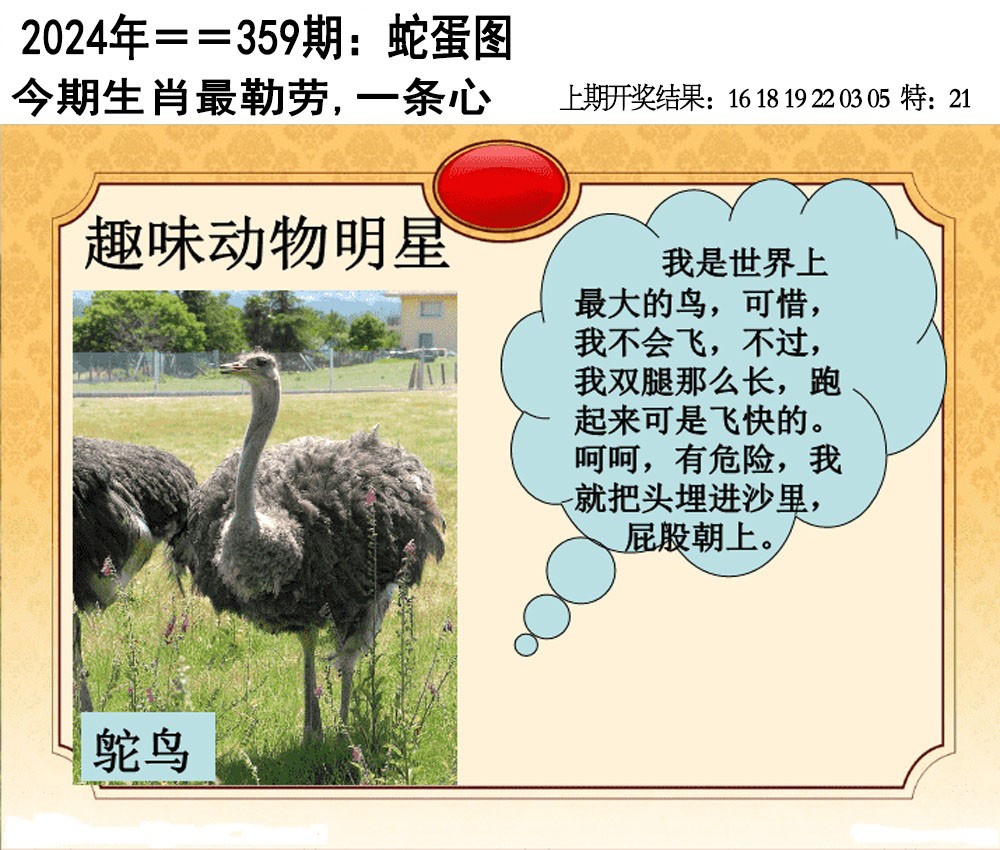 2024359期另版蛇蛋图