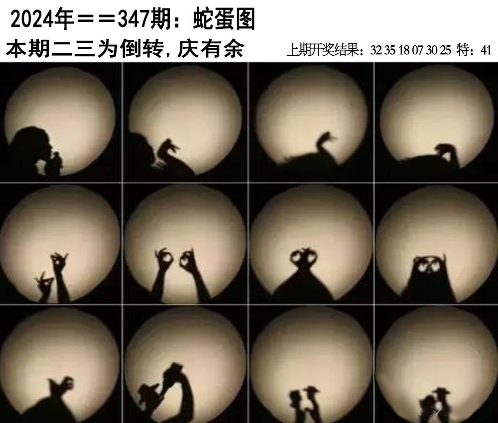 2024347期另版蛇蛋图