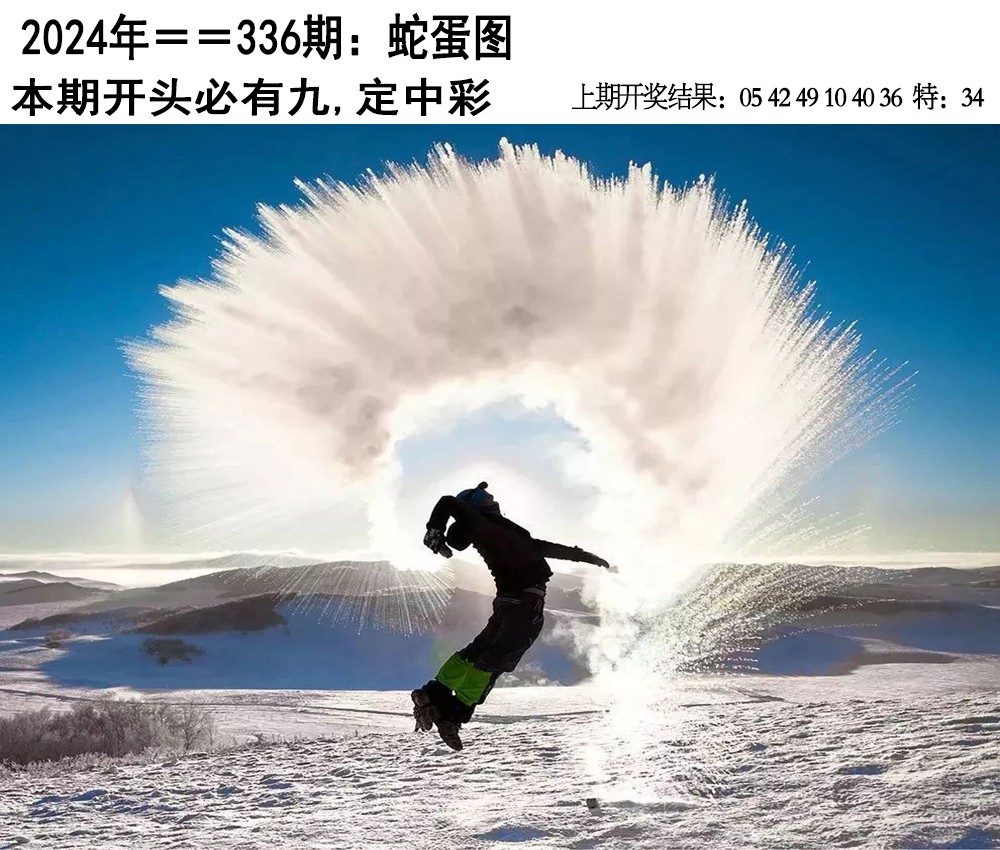 2024336期另版蛇蛋图