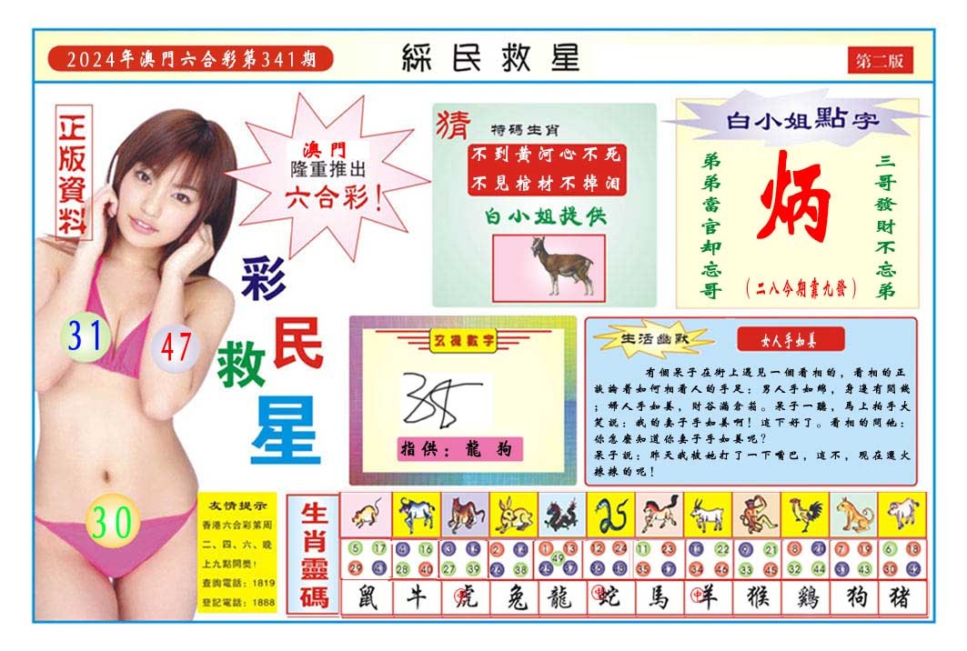 2024341期彩民救星B