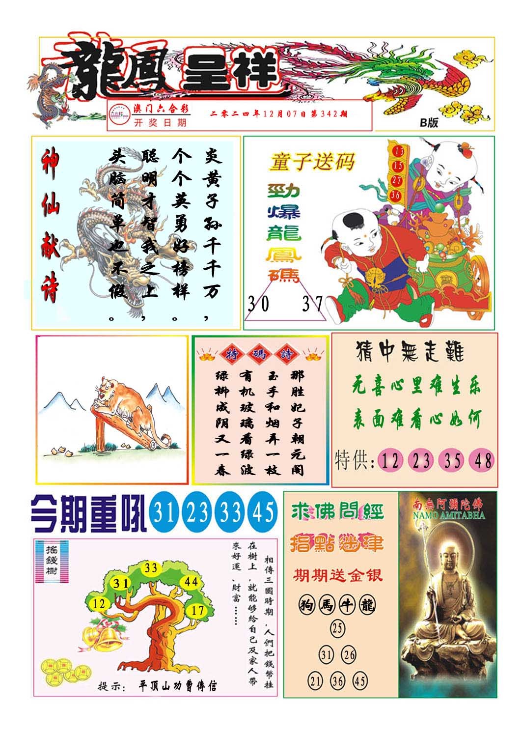 2024342期龙凤呈祥B