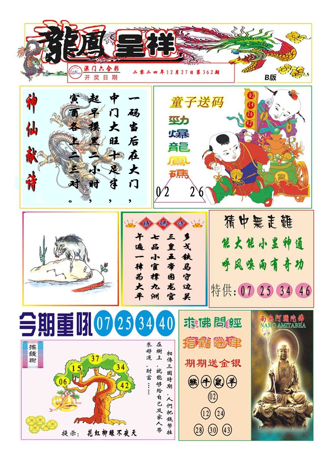 2024362期龙凤呈祥B