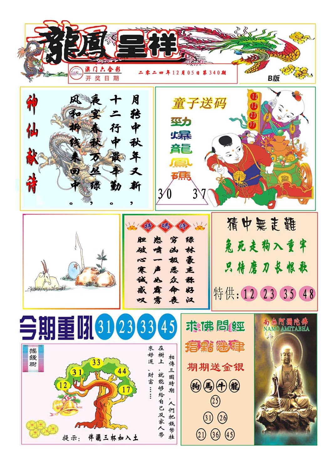 2024340期龙凤呈祥B