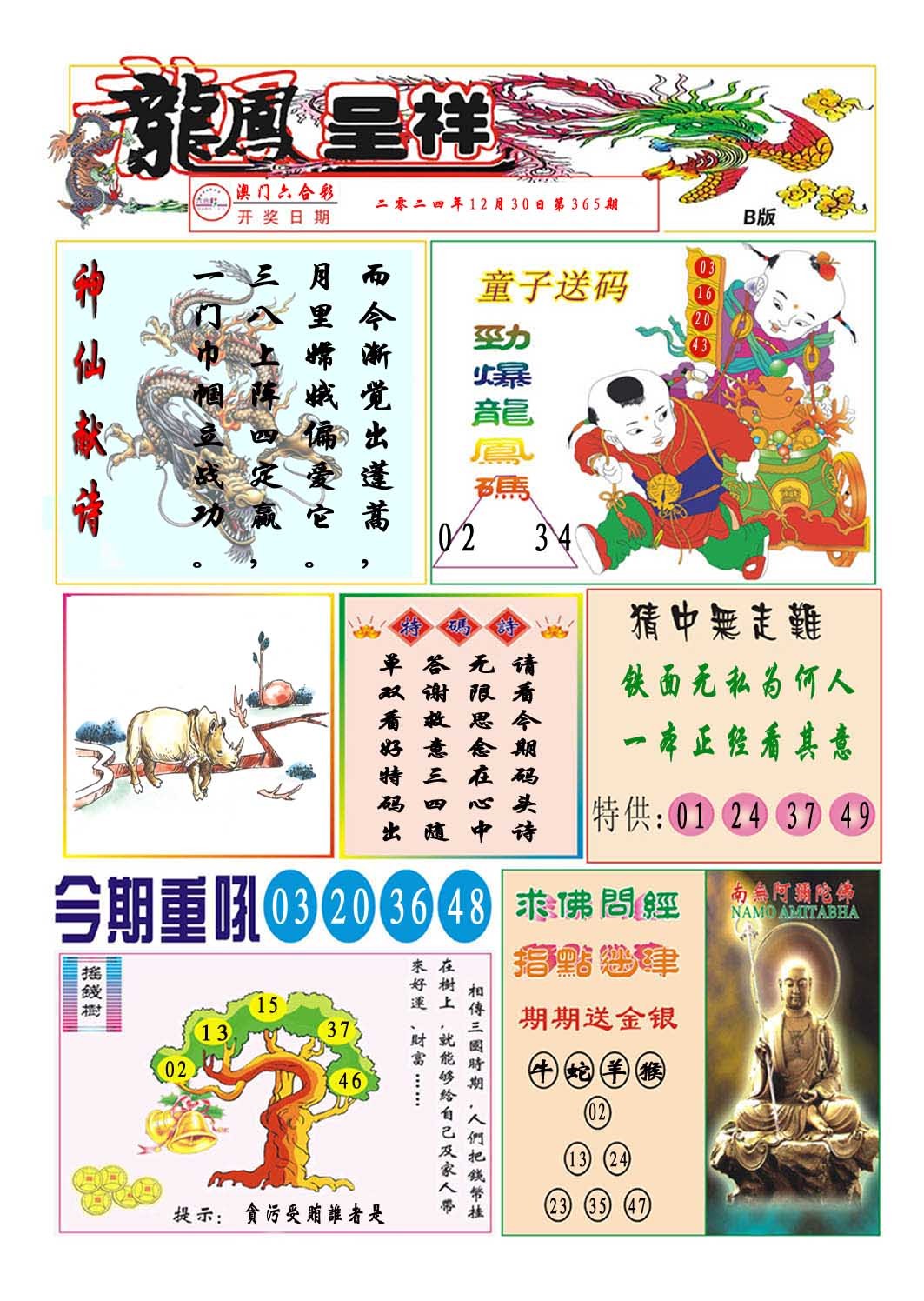 2024365期龙凤呈祥B