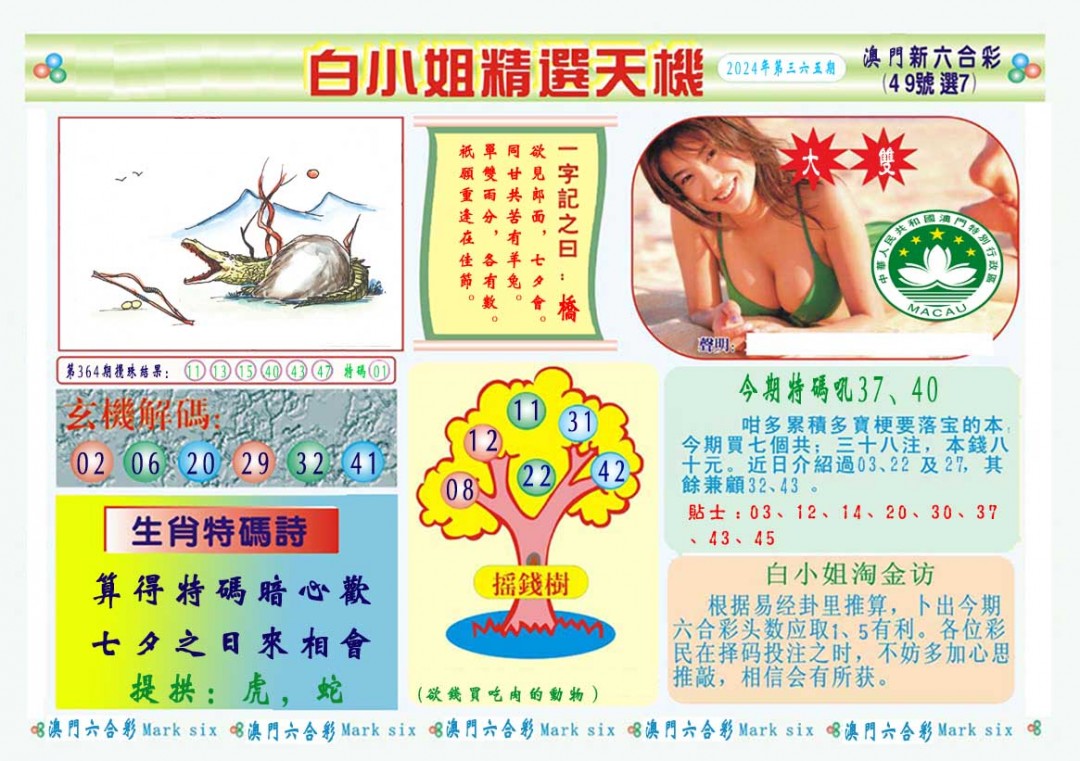 2024365期白小姐精选玄机A