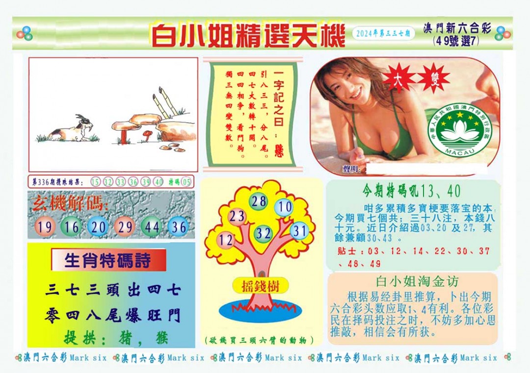 2024337期白小姐精选玄机A