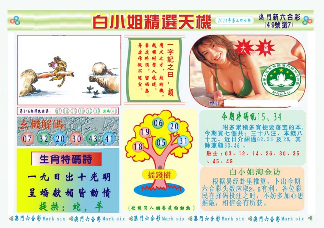 2024347期白小姐精选玄机A