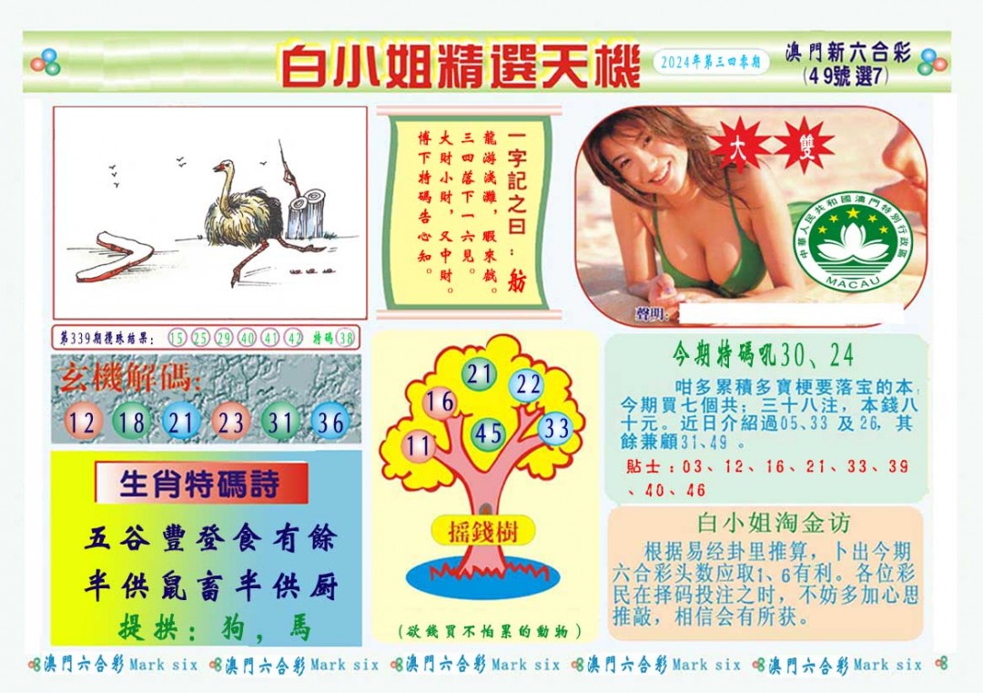 2024340期白小姐精选玄机A