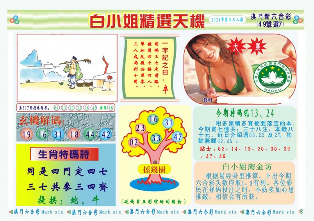 2024338期白小姐精选玄机A