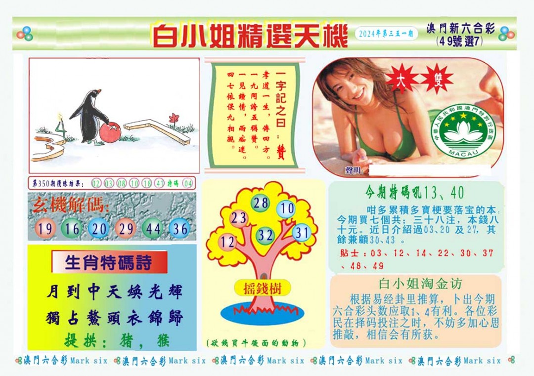 2024351期白小姐精选玄机A