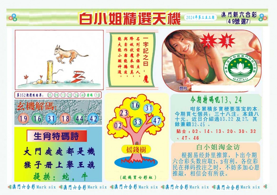 2024353期白小姐精选玄机A