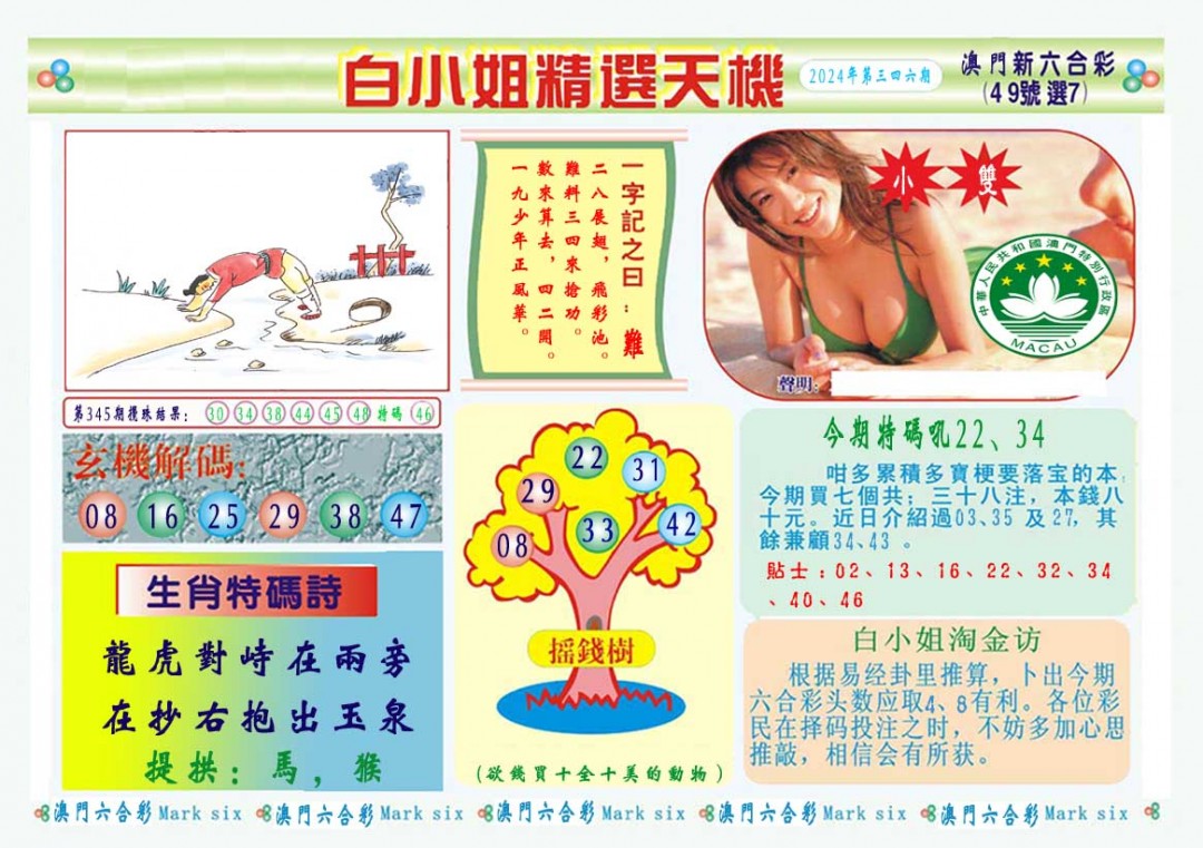 2024346期白小姐精选玄机A