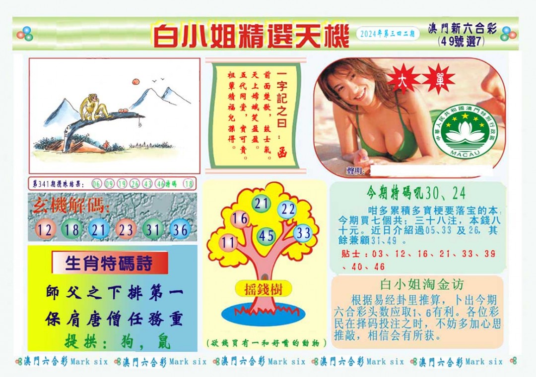 2024342期白小姐精选玄机A