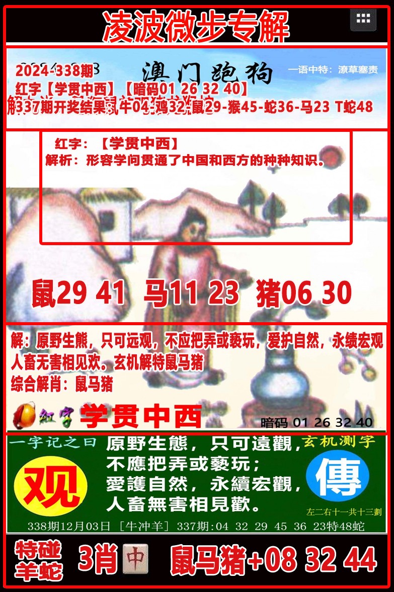 2024338期凌波微步