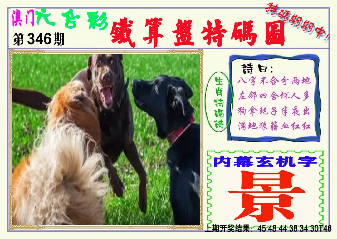 2024346期铁算盘特码图