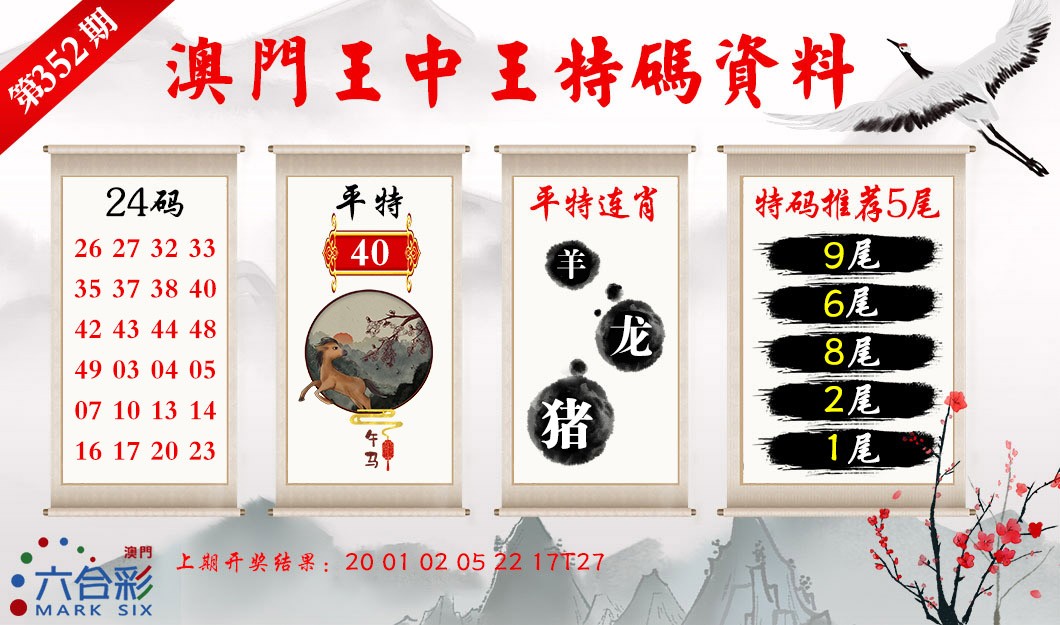 2024352期王中王特码料