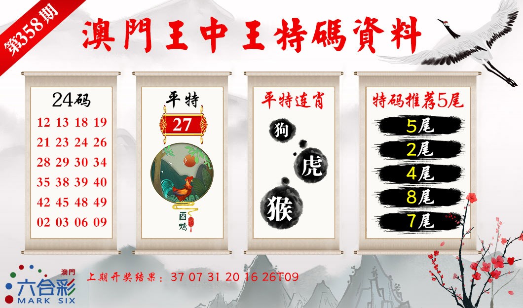 2024358期王中王特码料