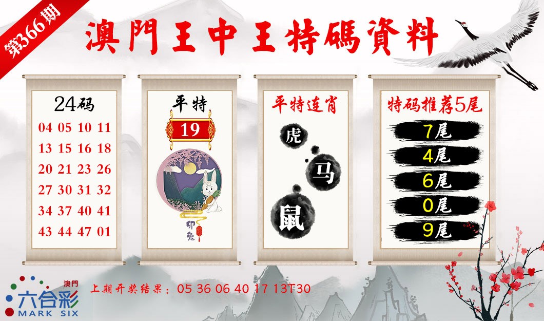 2024366期王中王特码料