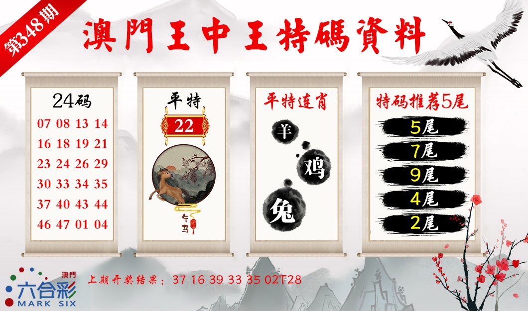2024348期王中王特码料