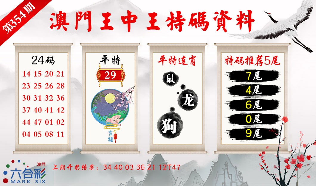 2024354期王中王特码料