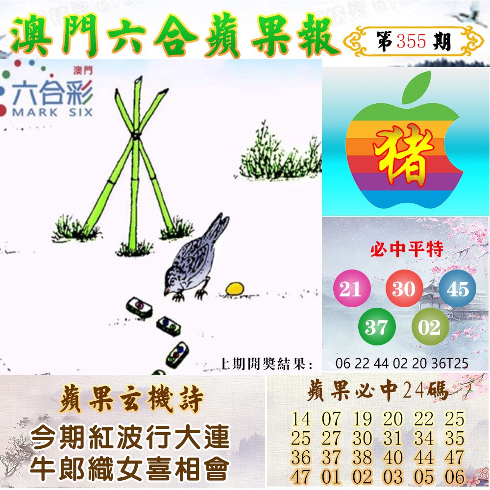 2024355期苹果报
