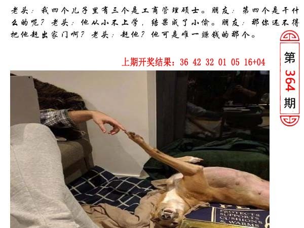 2024364期澳门生活幽默