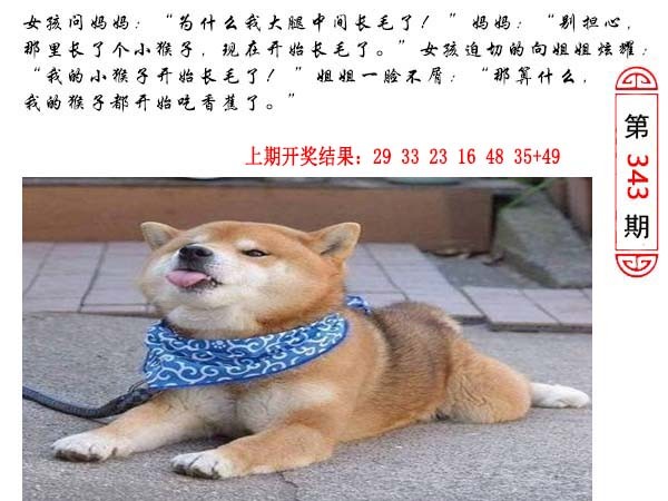 2024343期澳门生活幽默