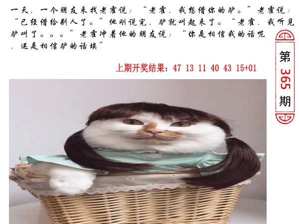 2024365期澳门生活幽默