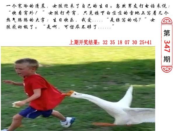 2024347期澳门生活幽默