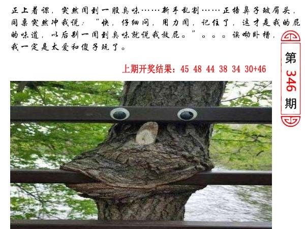 2024346期澳门生活幽默