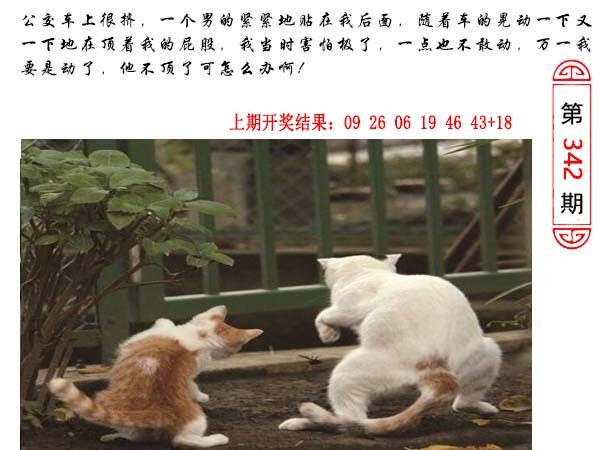 2024342期澳门生活幽默