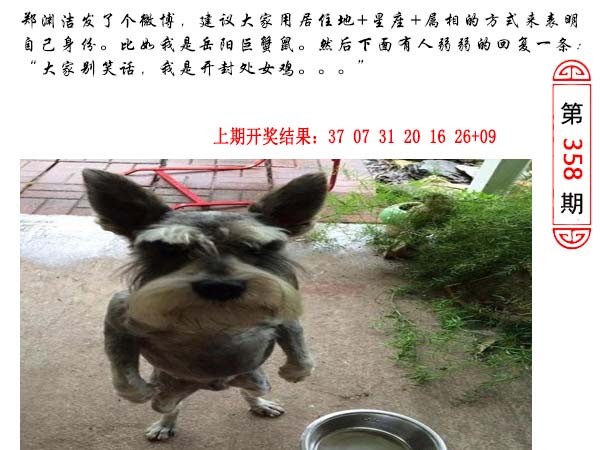 2024358期澳门生活幽默