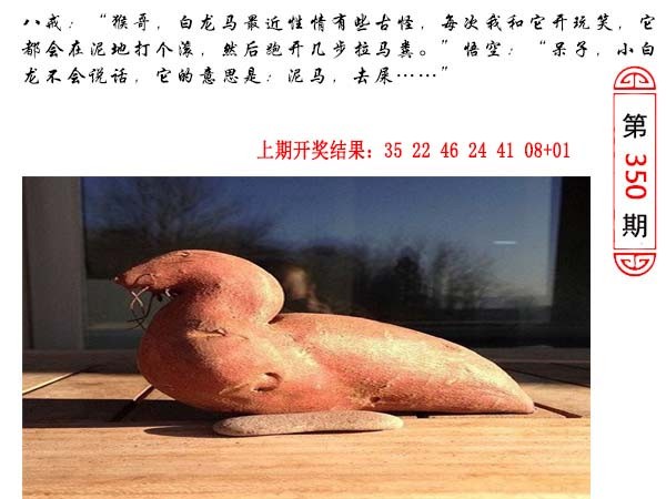 2024350期澳门生活幽默