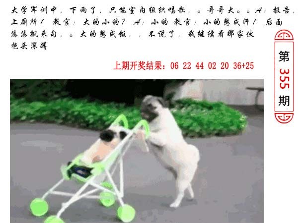 2024355期澳门生活幽默