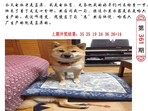 2024361期澳门生活幽默