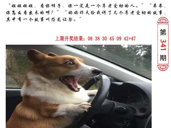 2024341期澳门生活幽默