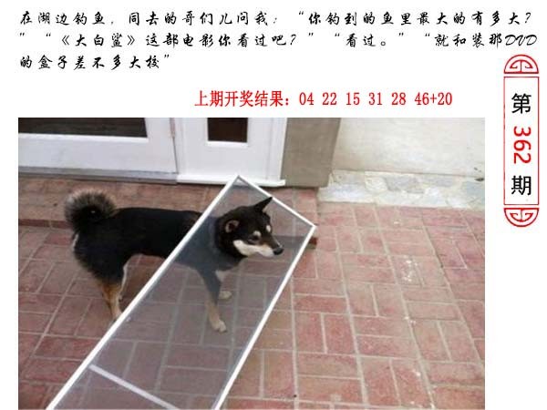 2024362期澳门生活幽默