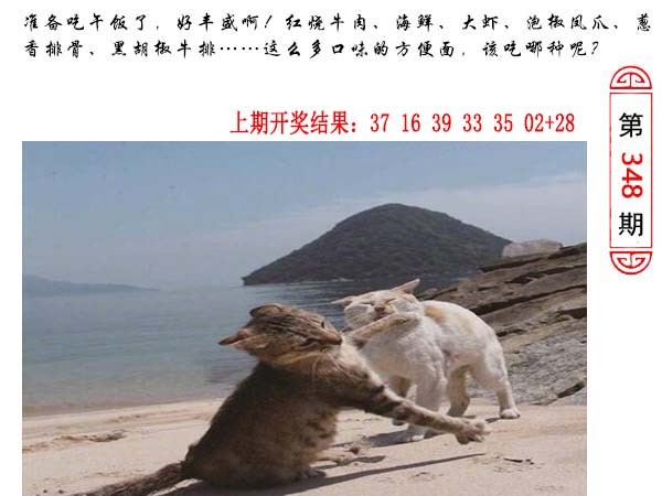 2024348期澳门生活幽默