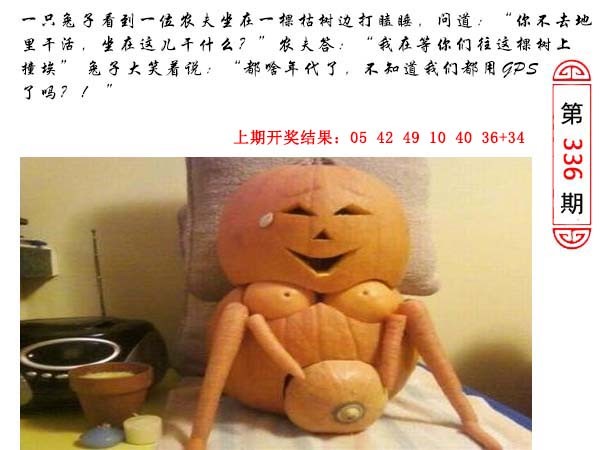 2024336期澳门生活幽默